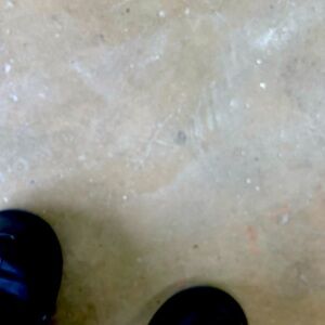 new trade for mr tater bug ❤️